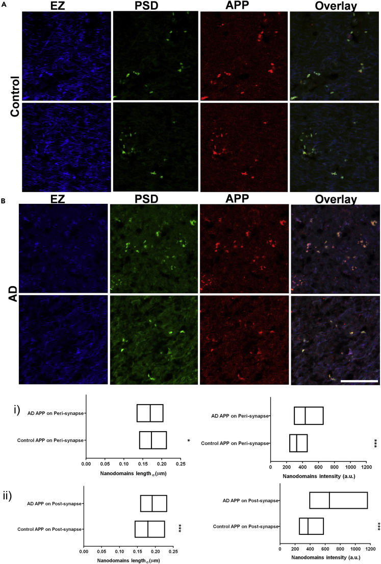 Figure 6