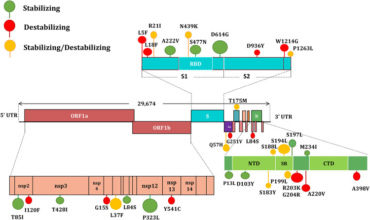 FIG 3