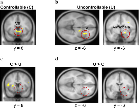 Figure 5—figure supplement 5.