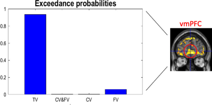 Figure 5—figure supplement 3.