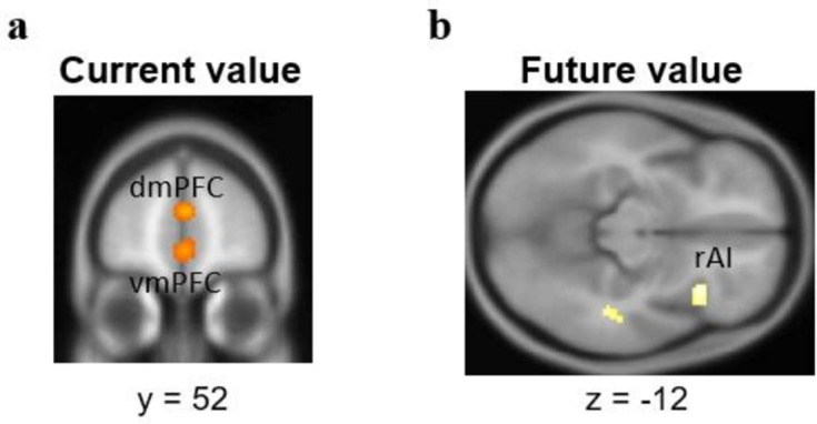 Figure 5—figure supplement 2.