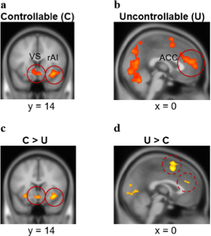 Figure 5—figure supplement 4.