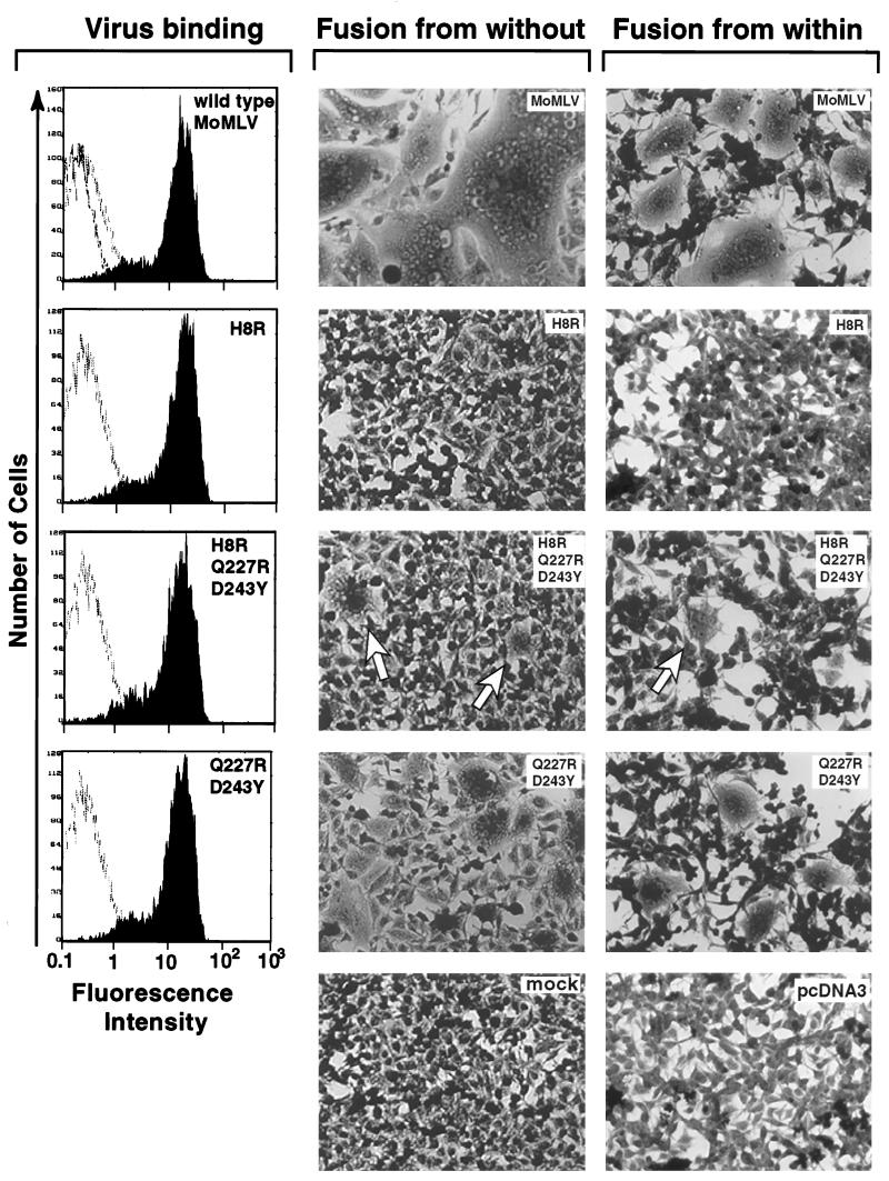 FIG. 4