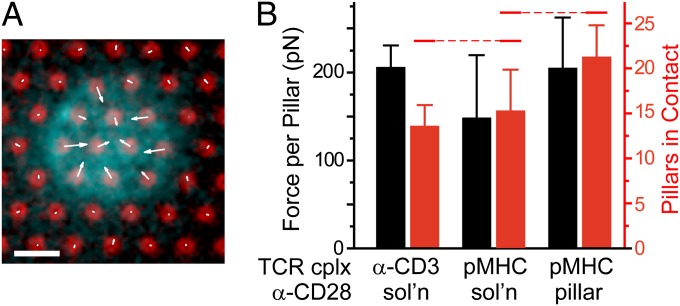 Fig. 4.