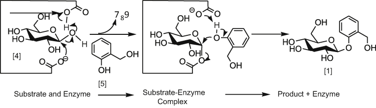 Scheme 5