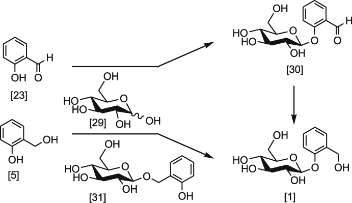 Scheme 4