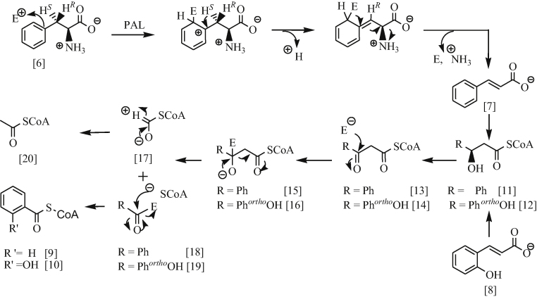 Scheme 2