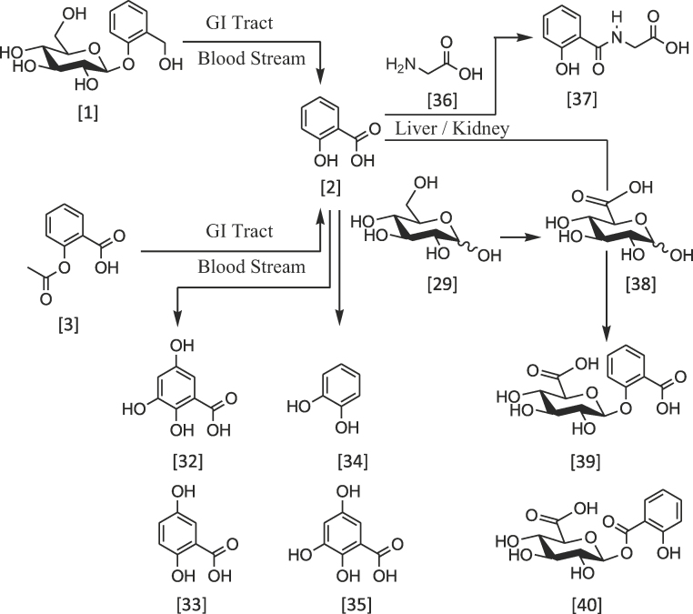 Scheme 6