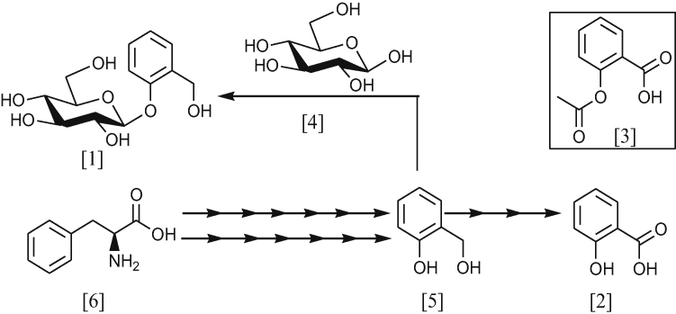 Scheme 1