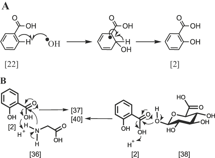 Scheme 7