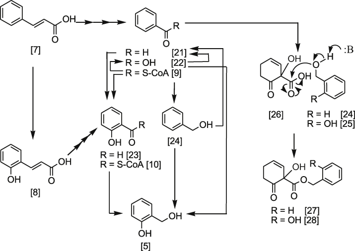 Scheme 3