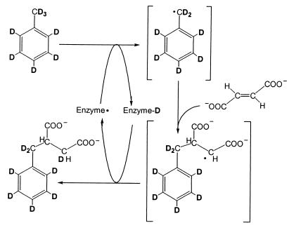 FIG. 7