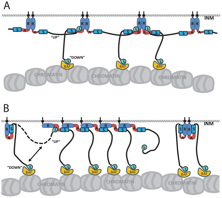 Fig. 8.