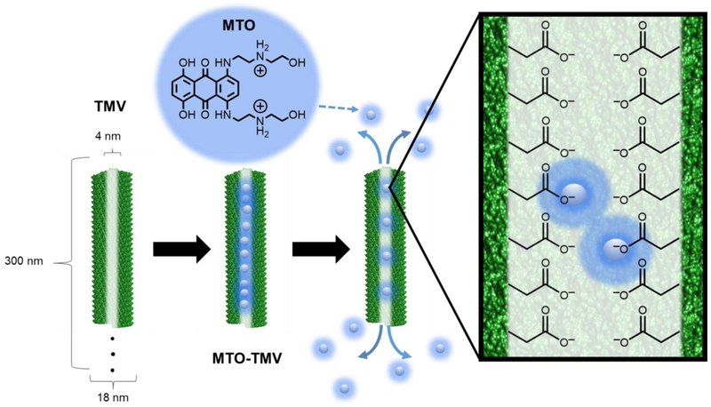 Figure 1: