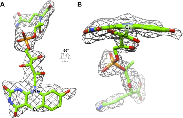 Figure 6