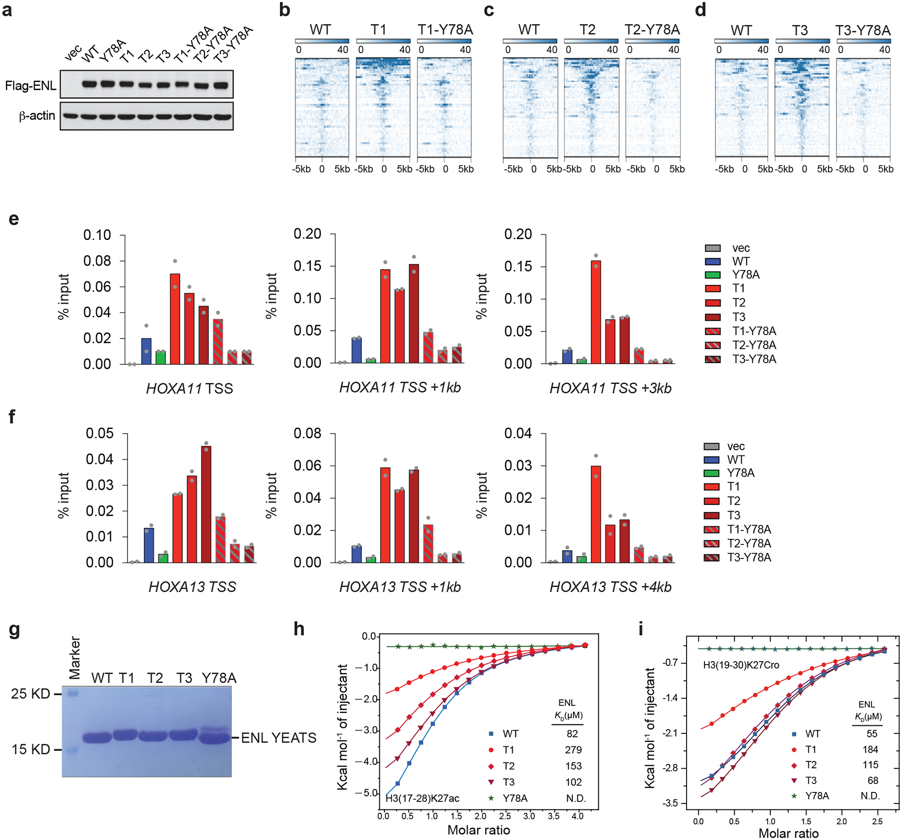 Extended Data Fig. 8 |