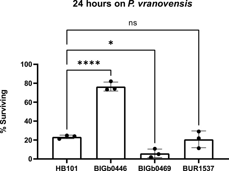 Figure 4—figure supplement 1.