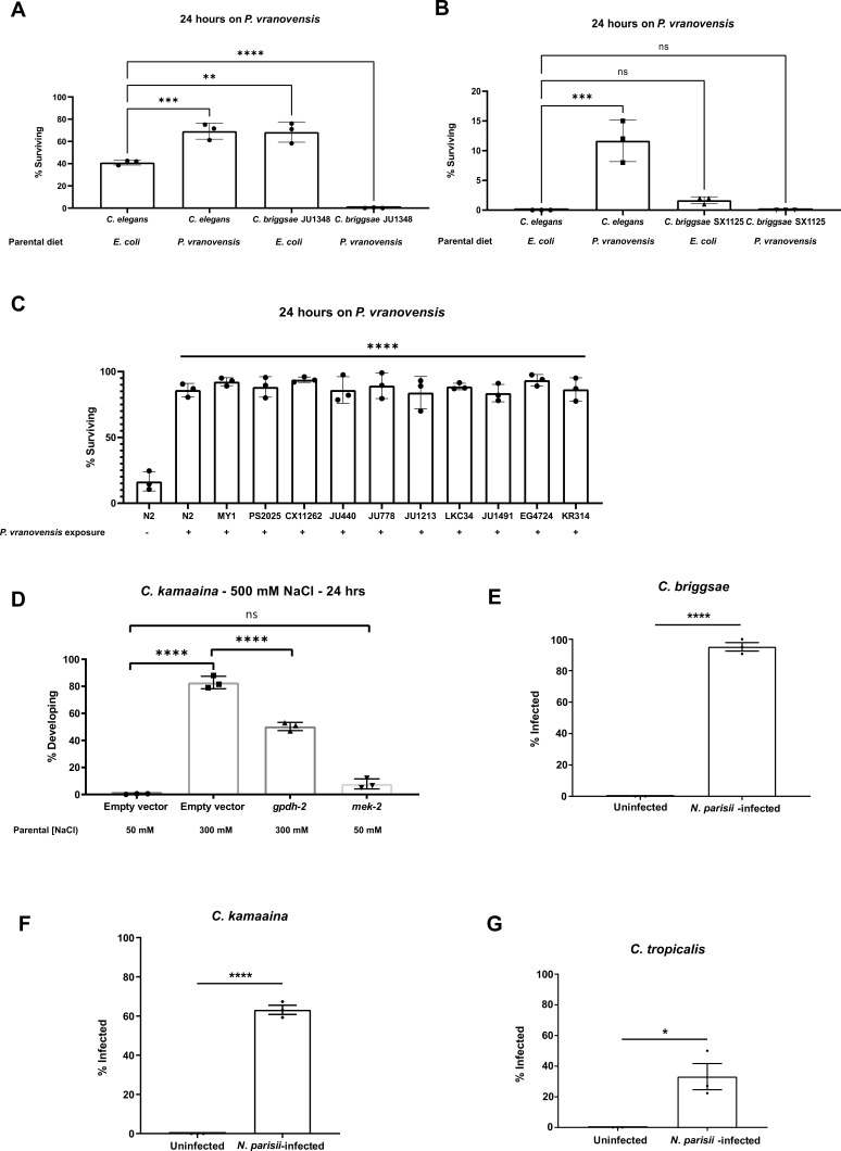 Figure 1—figure supplement 1.