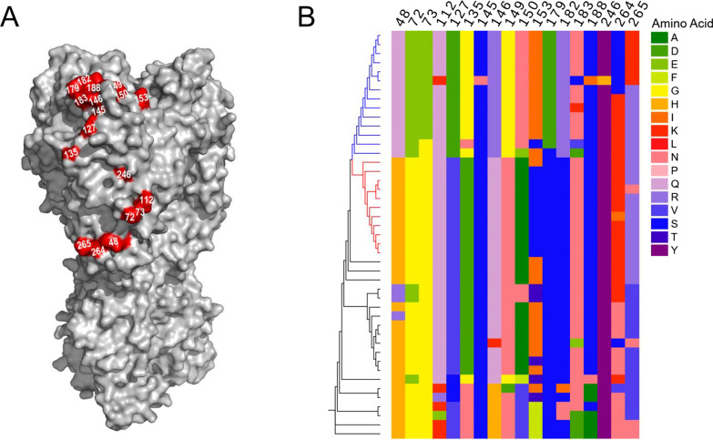 Fig. 2