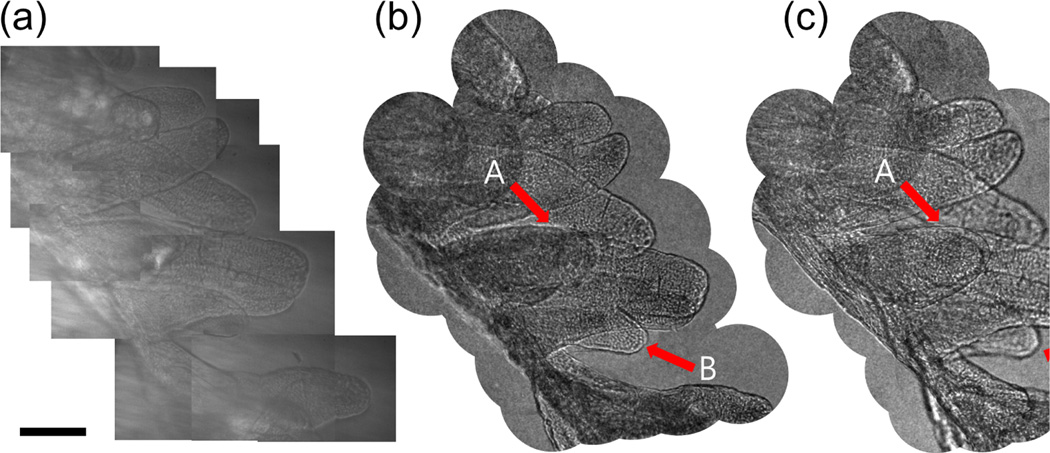 FIG. 4