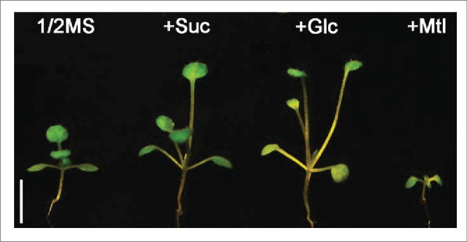 Figure 1.