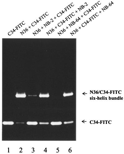 FIG. 5.