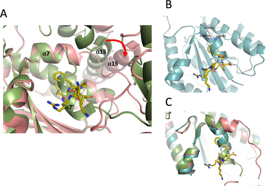 Figure 5.