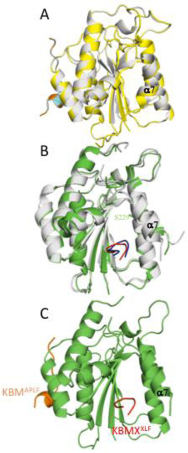 Figure 7.