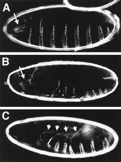 FIG. 8