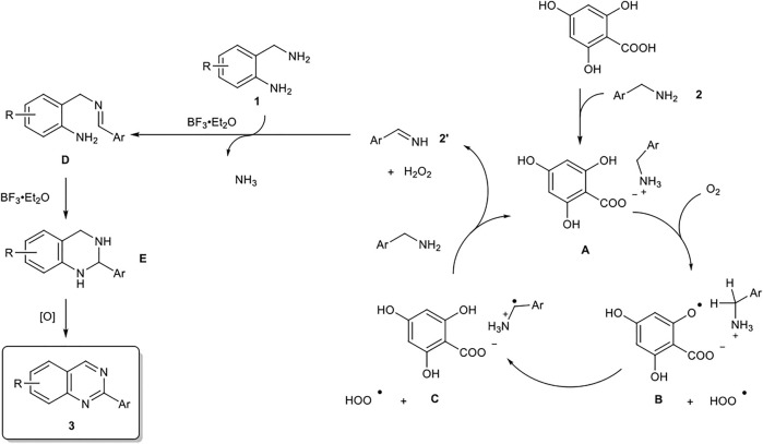 SCHEME 2