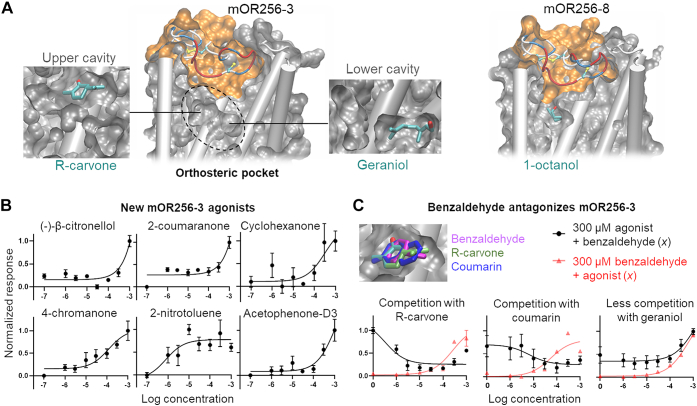 Figure 2