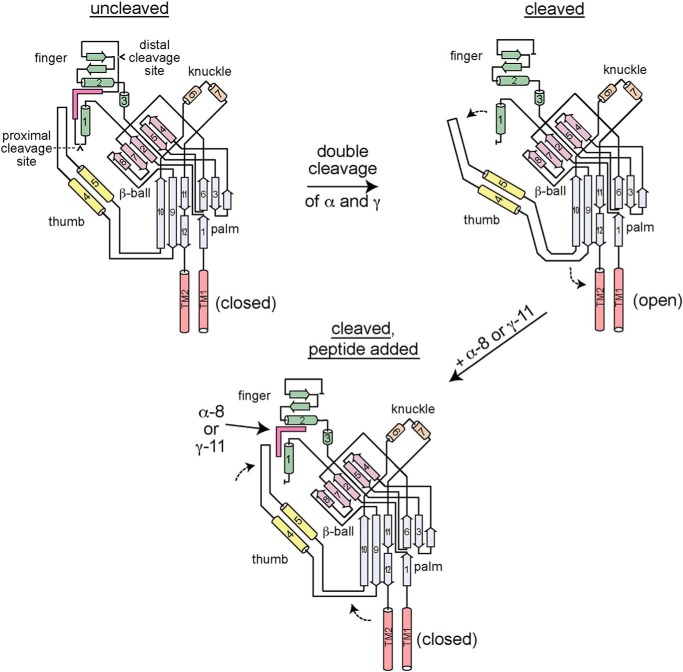 Figure 6.