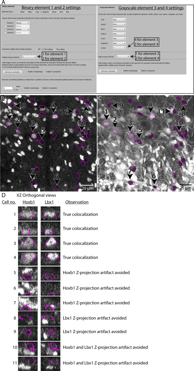 Figure 11