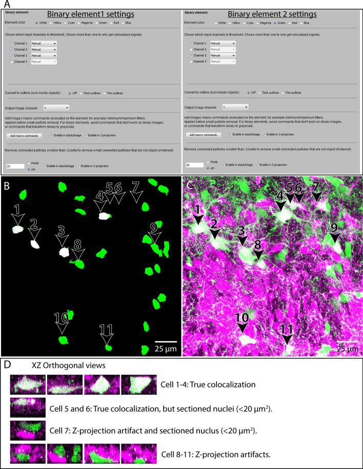 Figure 10