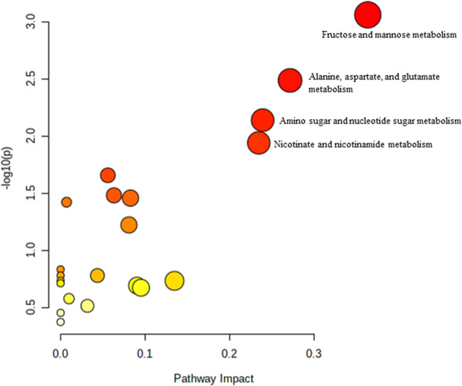 FIGURE 6