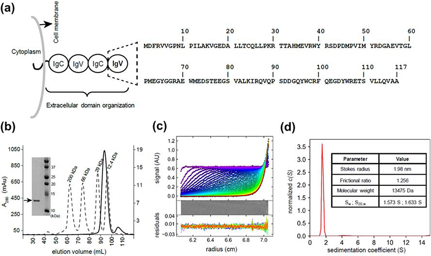 Figure 1: