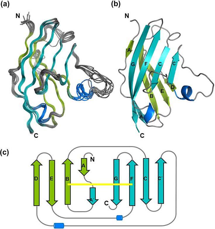 Figure 4: