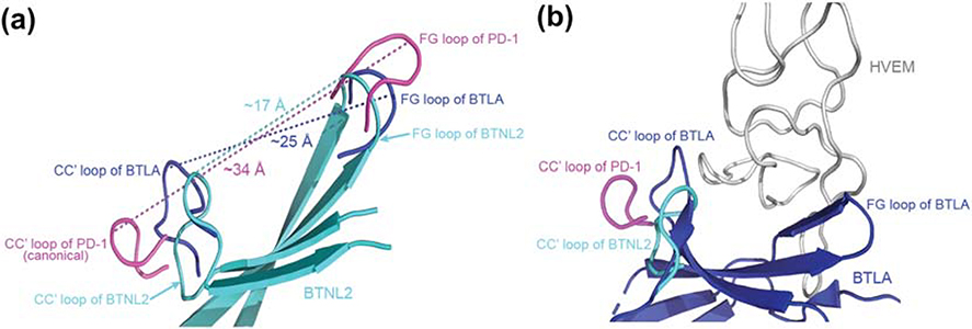 Figure 7: