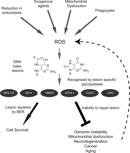 FIG. 6.