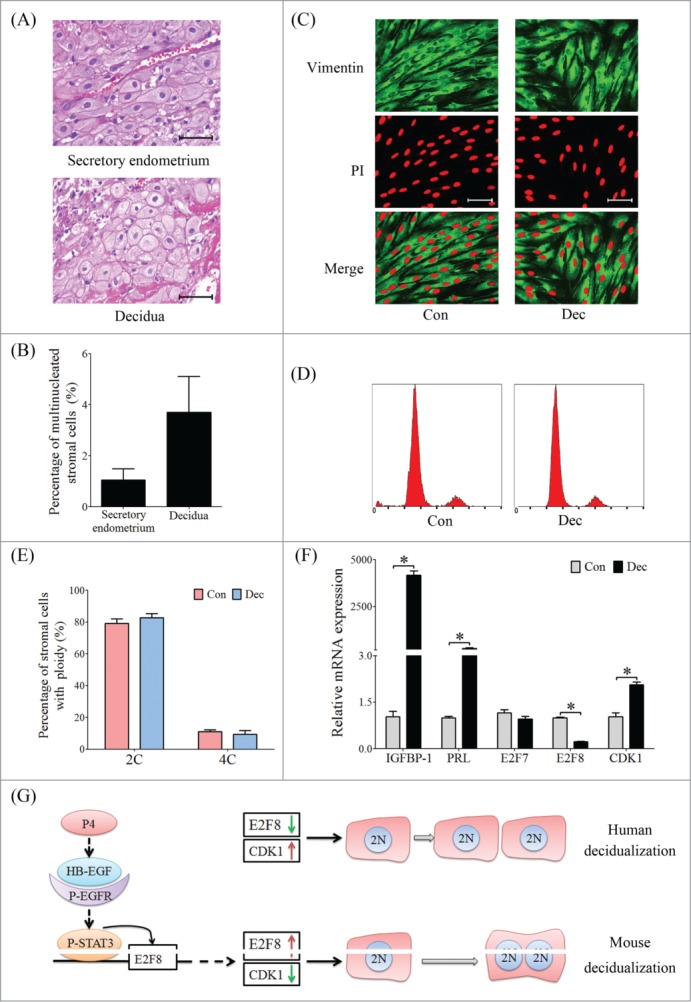 Figure 13.