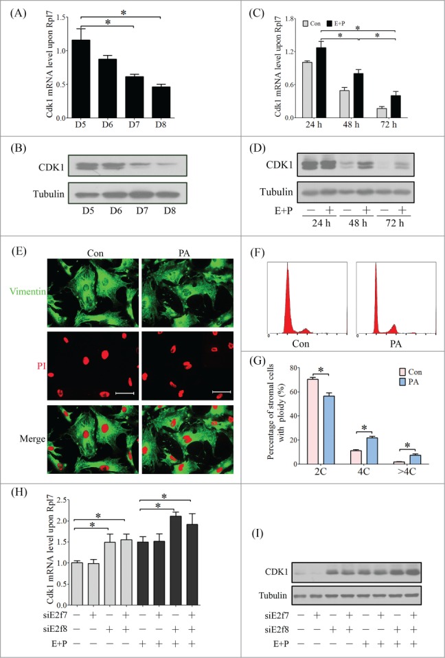 Figure 10.