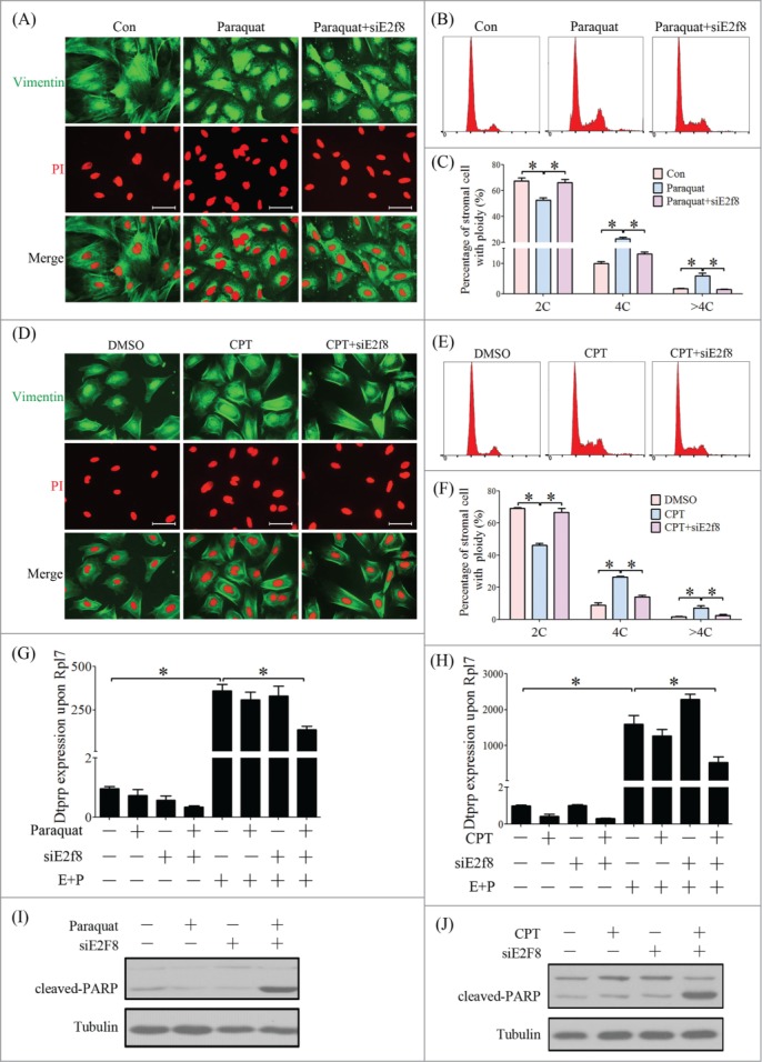 Figure 12.