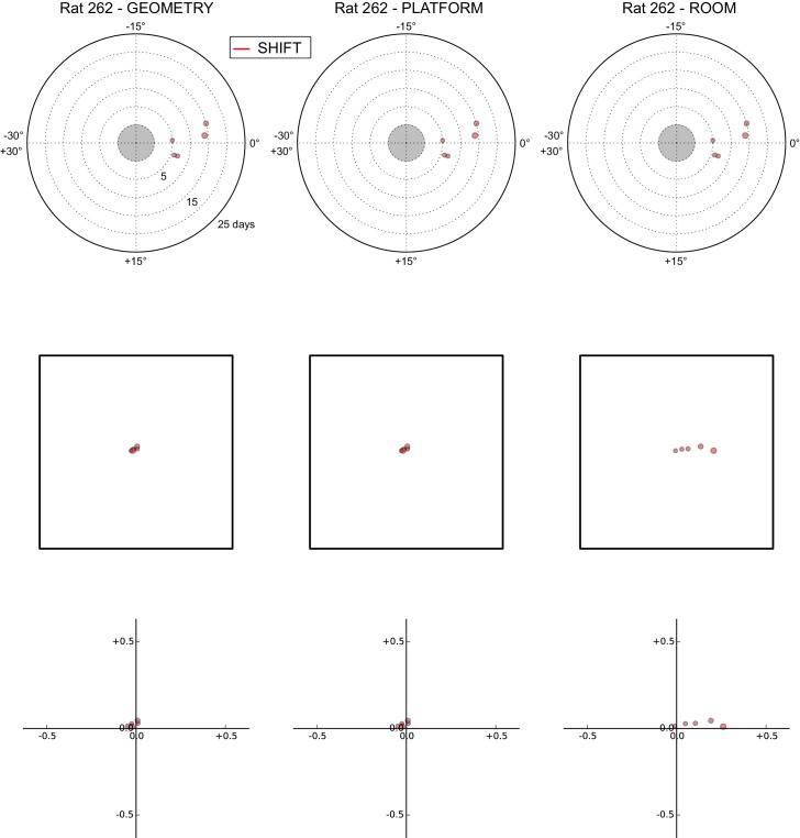 Figure 5—figure supplement 7.