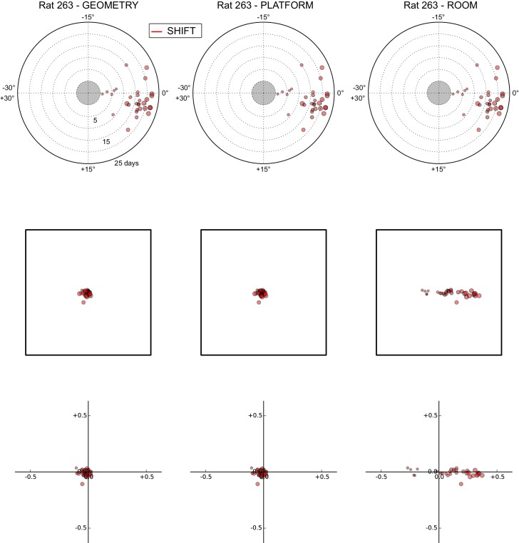 Figure 5—figure supplement 6.