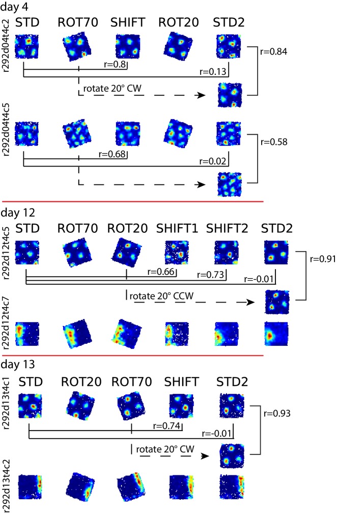 Figure 6—figure supplement 2.