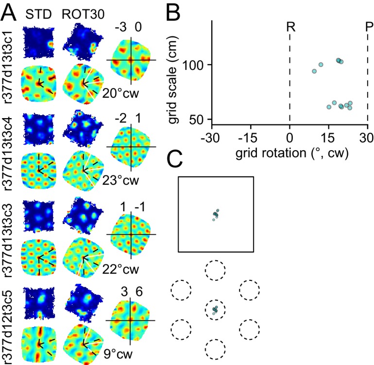 Figure 2—figure supplement 1.