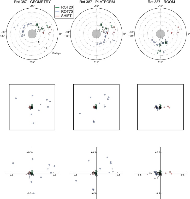 Figure 5—figure supplement 1.