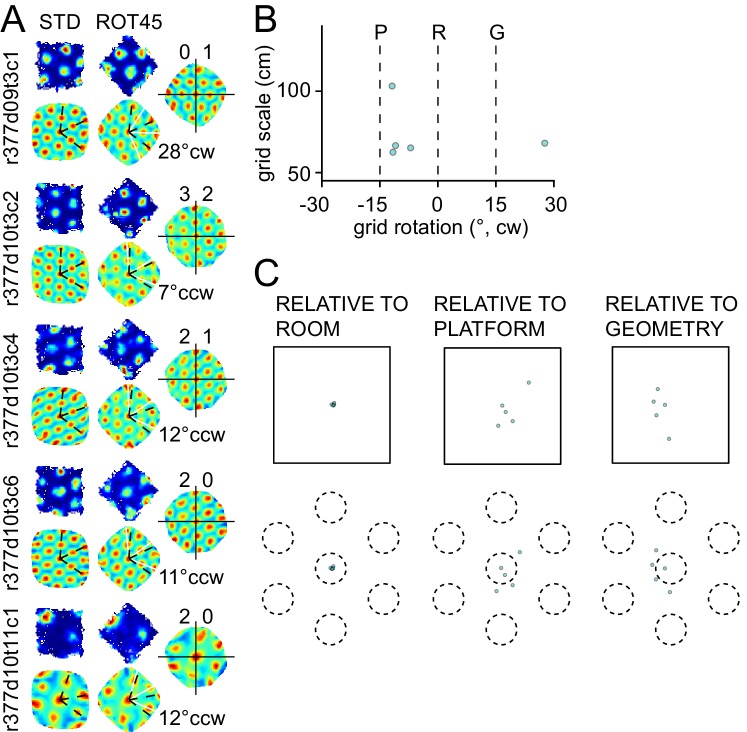 Figure 3—figure supplement 2.