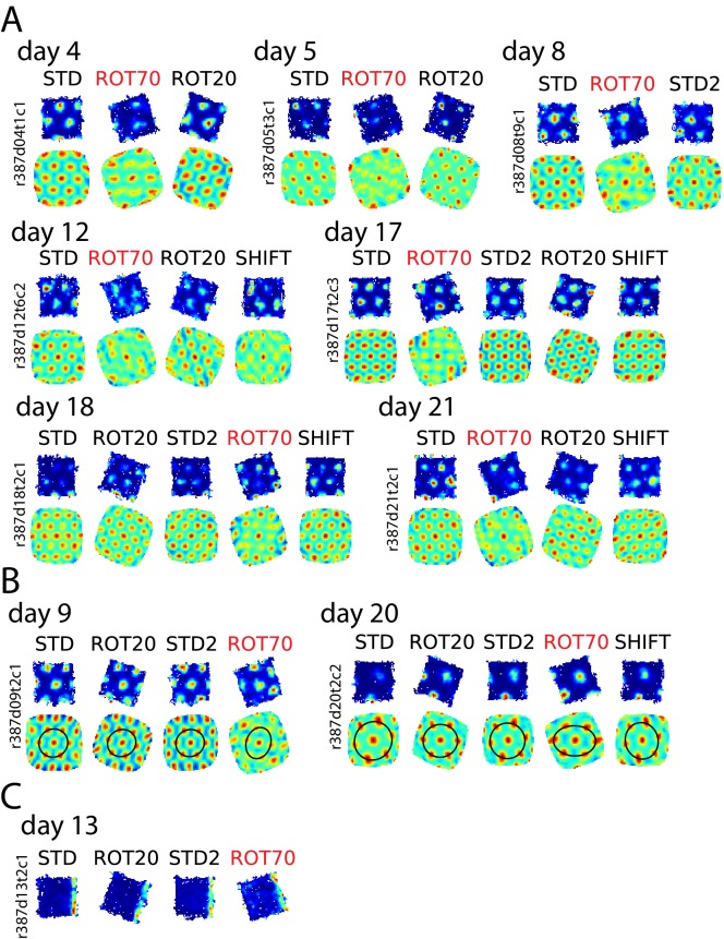 Figure 6—figure supplement 1.