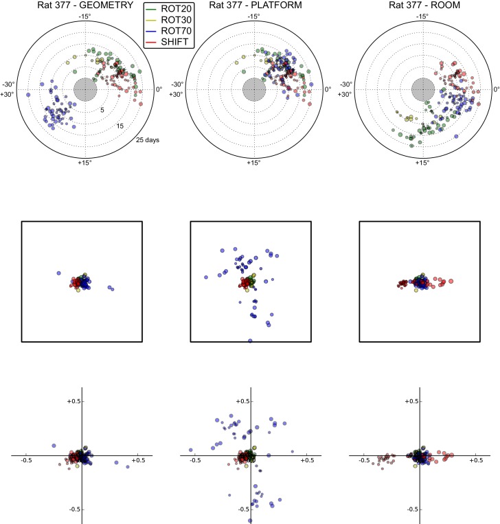 Figure 5—figure supplement 2.